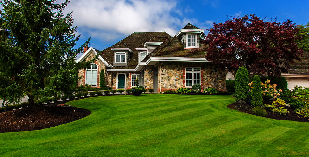 Our licensed team working on a residential lawn
